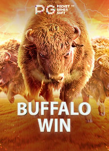 แนะนำบริการแทงบอลออนไลน์ที่คุณไม่ควรพลาด